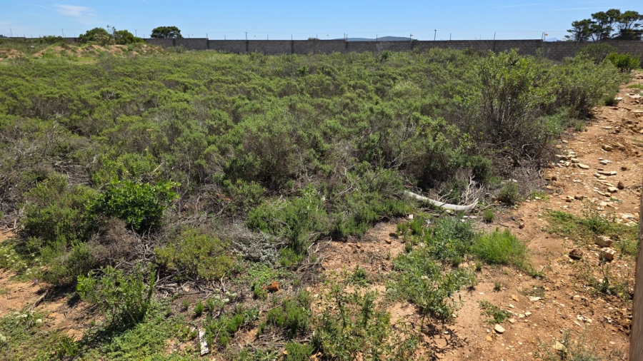 Commercial Property for Sale in N2 Industrial Park Western Cape